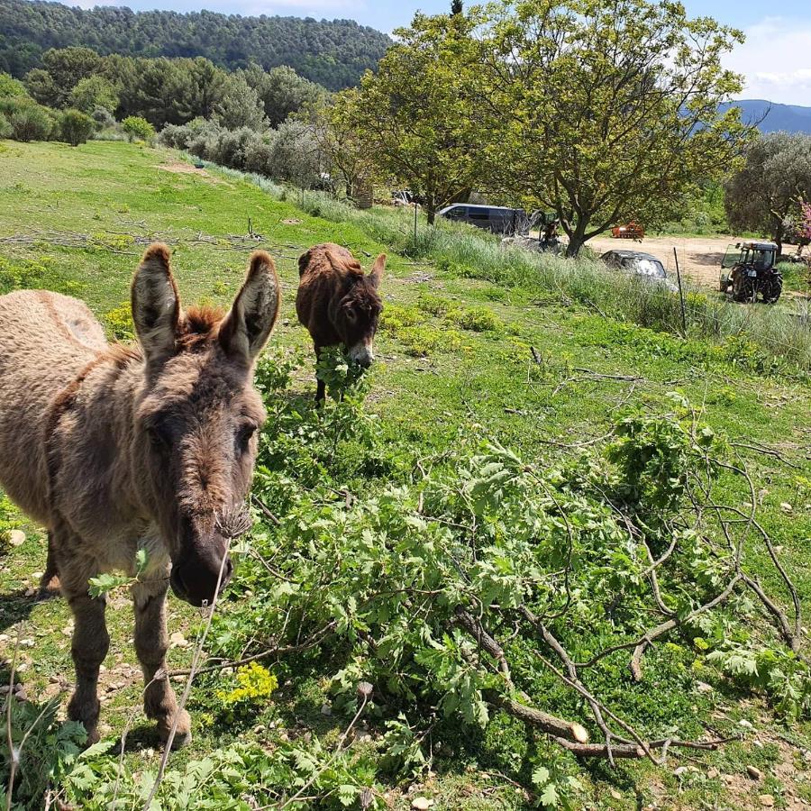 Bastide Bellugue Maison D'Hotes Reseau Bienvenue A La Ferme A 3 Minutes De Lourmarin Cadenet Exterior photo