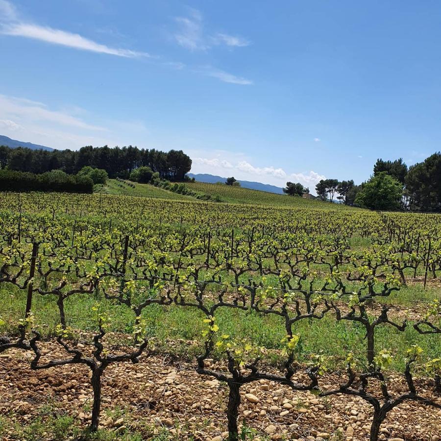 Bastide Bellugue Maison D'Hotes Reseau Bienvenue A La Ferme A 3 Minutes De Lourmarin Cadenet Exterior photo