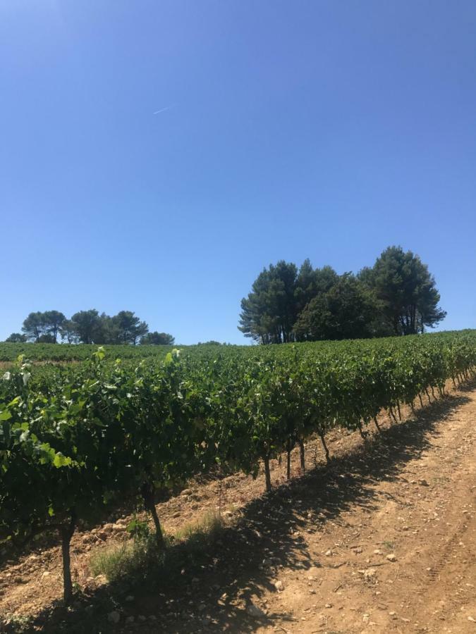 Bastide Bellugue Maison D'Hotes Reseau Bienvenue A La Ferme A 3 Minutes De Lourmarin Cadenet Exterior photo