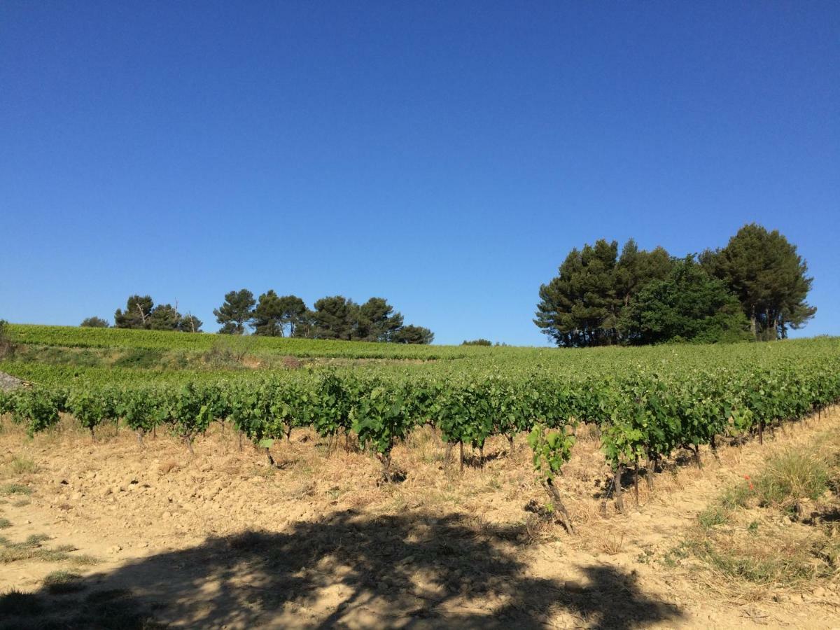 Bastide Bellugue Maison D'Hotes Reseau Bienvenue A La Ferme A 3 Minutes De Lourmarin Cadenet Exterior photo